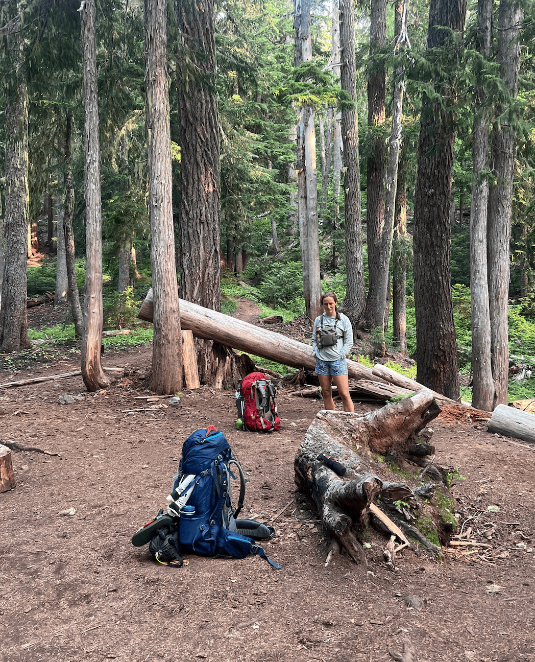 A photo on the Wonderland Trail of a clean camp before stepping off the next morning.